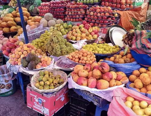 Conversatorio | Diálogos desde la tierra: Políticas Alimentarias Locales en Argentina y en Italia
